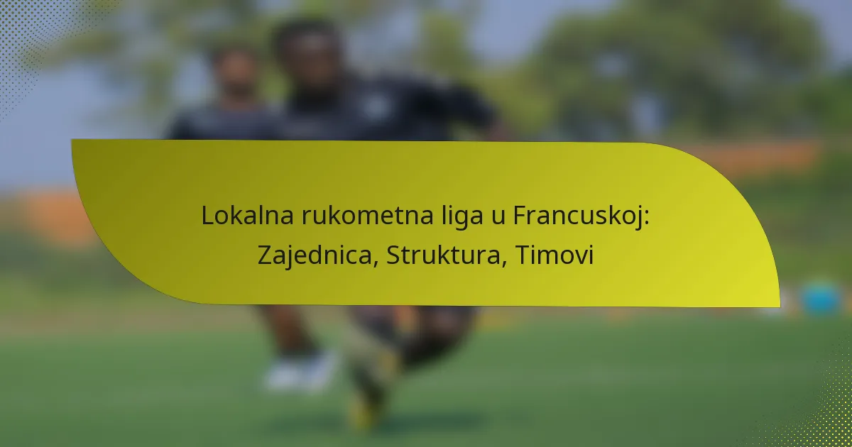 Lokalna rukometna liga u Francuskoj: Zajednica, Struktura, Timovi
