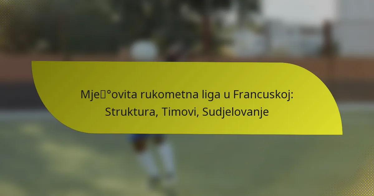 Mješovita rukometna liga u Francuskoj: Struktura, Timovi, Sudjelovanje