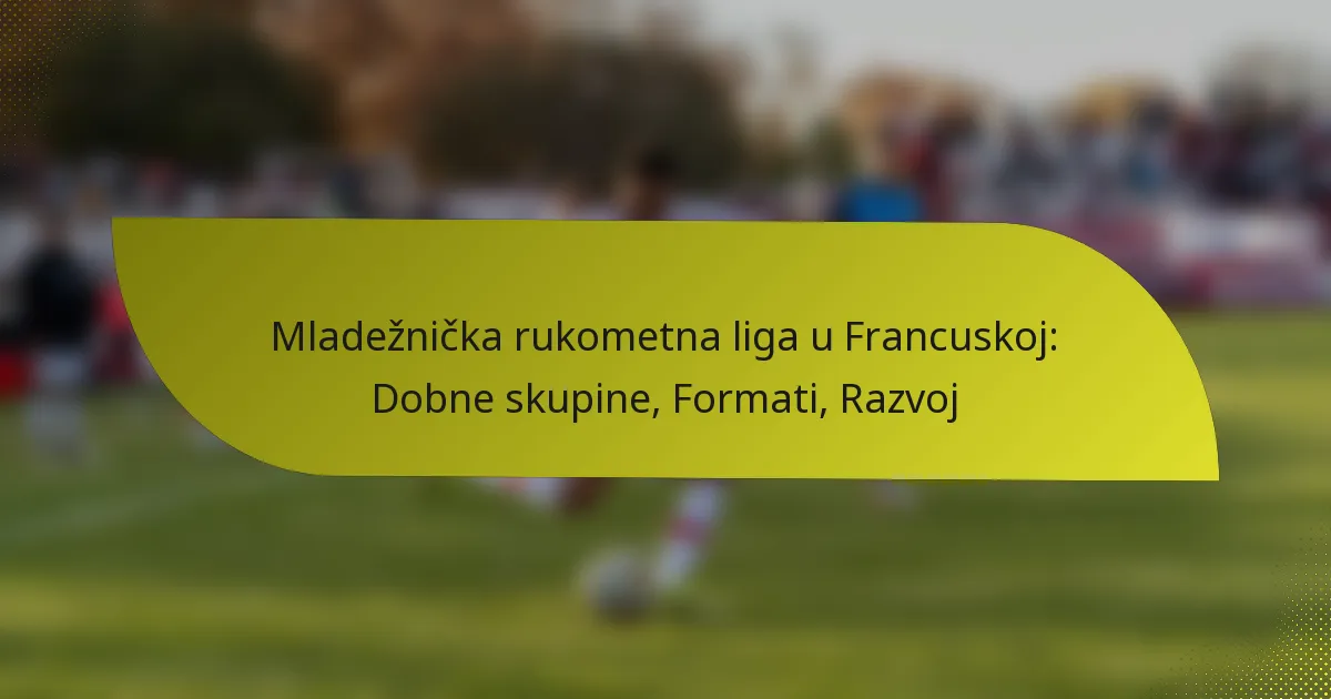 Mladežnička rukometna liga u Francuskoj: Dobne skupine, Formati, Razvoj
