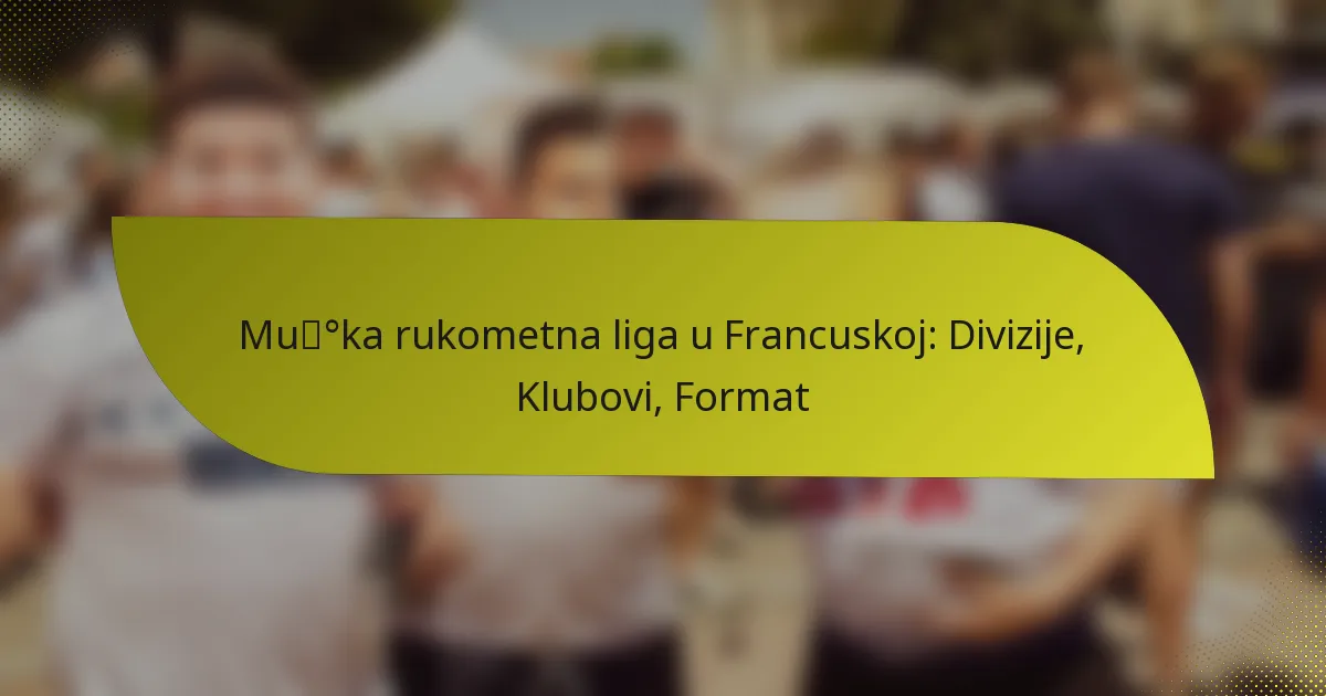 Muška rukometna liga u Francuskoj: Divizije, Klubovi, Format