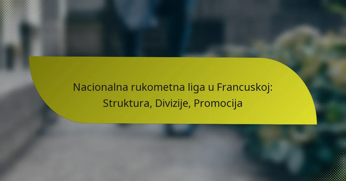 Nacionalna rukometna liga u Francuskoj: Struktura, Divizije, Promocija