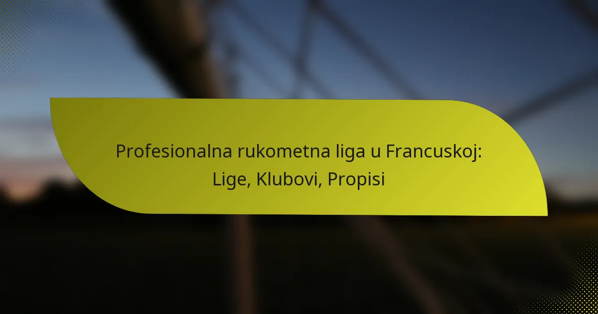 Profesionalna rukometna liga u Francuskoj: Lige, Klubovi, Propisi