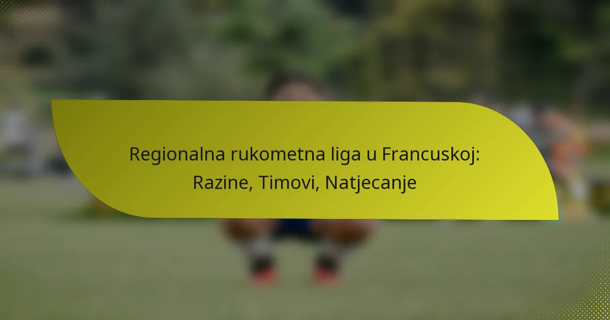 Regionalna rukometna liga u Francuskoj: Razine, Timovi, Natjecanje