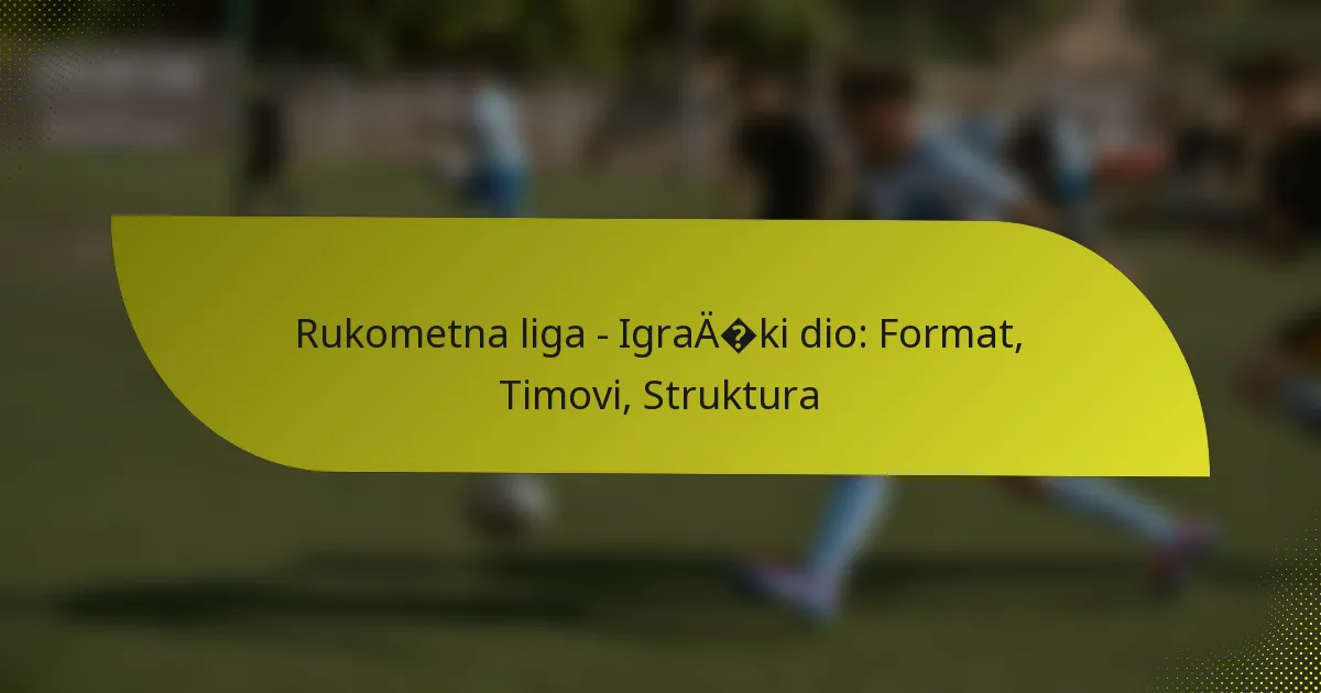 Rukometna liga – Igrački dio: Format, Timovi, Struktura