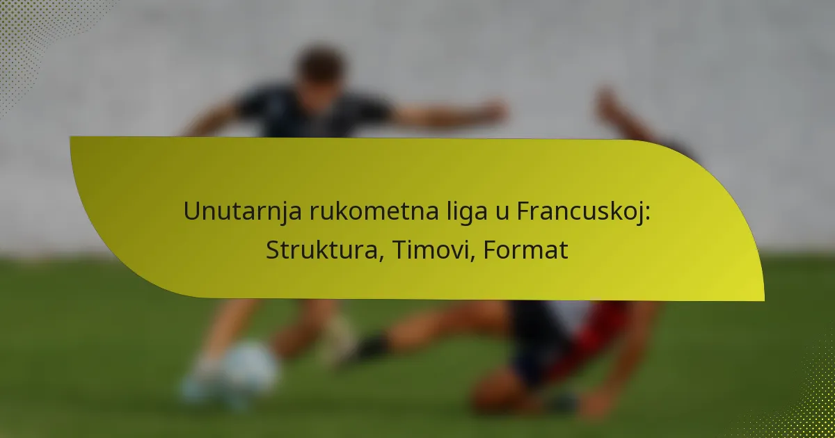 Unutarnja rukometna liga u Francuskoj: Struktura, Timovi, Format