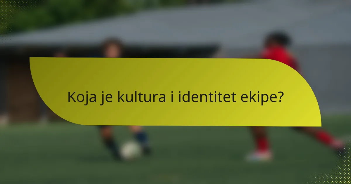 Koja je kultura i identitet ekipe?