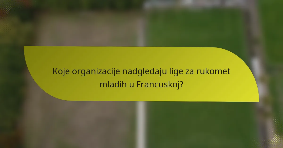 Koje organizacije nadgledaju lige za rukomet mladih u Francuskoj?