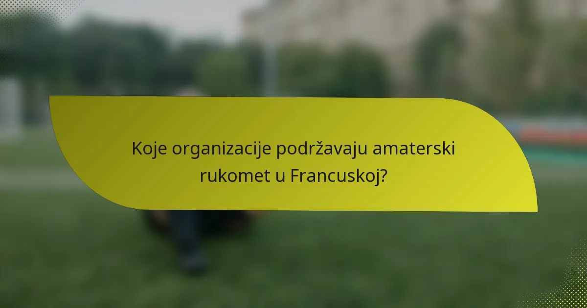 Koje organizacije podržavaju amaterski rukomet u Francuskoj?