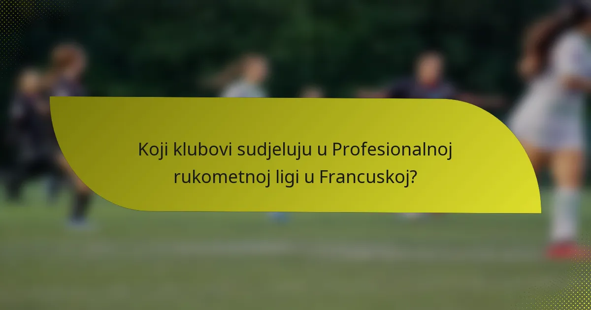 Koji klubovi sudjeluju u Profesionalnoj rukometnoj ligi u Francuskoj?